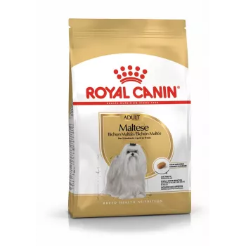 Pienso para perros Royal Canin Maltese Adult 1,5 kg – pollo, 24 % proteína, 18 % grasa