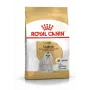 Royal Canin Maltese Adult pienso para perros, 1,5 kg