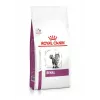 Royal Canin VHN Cat Renal pienso para gatos, 2 kg