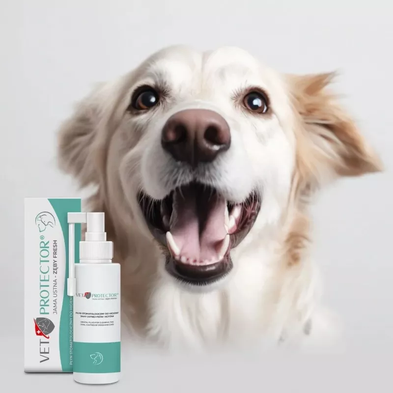 Solución de higiene bucal JM Sante Vet Protector Fresh 100 ml para perros y gatos, prevención del sarro