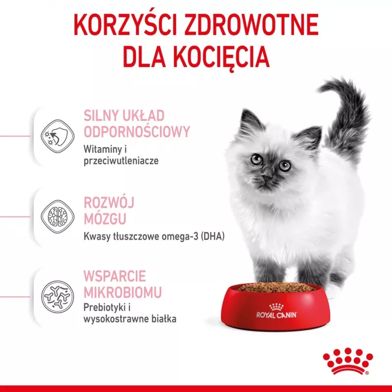 Royal Canin FHN Kitten pienso seco para gatitos, 4 kg