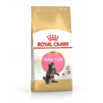 ROYAL CANIN Maine Coon Kitten - Pienso para gatos - 4 kg