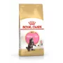 ROYAL CANIN Maine Coon Kitten - Pienso para gatos - 4 kg