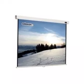 Celexon Professional manual – pantalla – montaje en techo posible, apta para montaje en pared – 304 cm (120) – 1:1 – blanco (1090045)