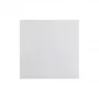 Berker 1620 89 89 Tecla basculante PWS brillante