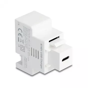Módulo Keystone DELOCK con toma de carga USB-C PD 20W, blanco