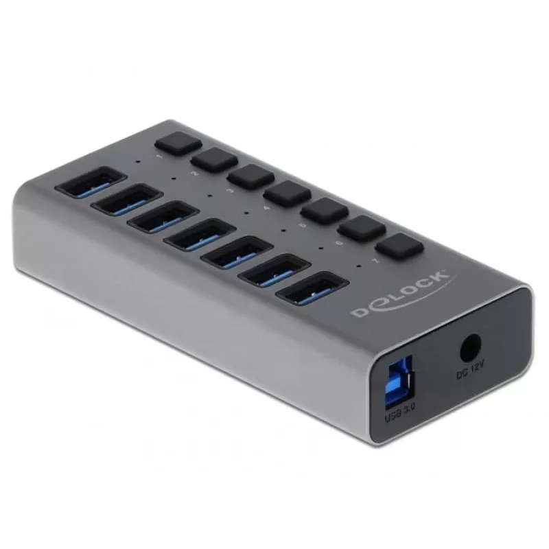 Delock DELOCK-63669 Producto gris