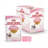 Royal Canin Feline Health Nutrition Kitten Instinctive en gelatina comida húmeda para gatitos, 12 x 85 g