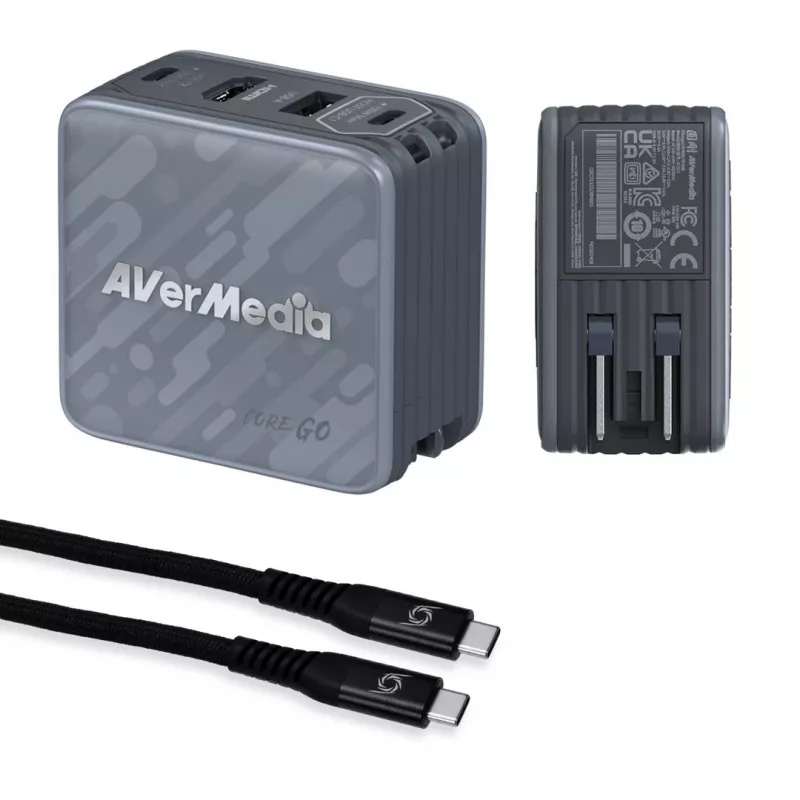 AVerMedia GC313 Universal Negro Cargador rápido por CA Interior