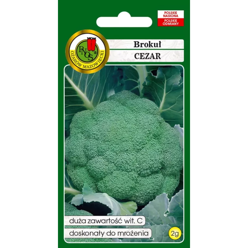 PNOS brócoli Caesar semillas de hortalizas, 2 g