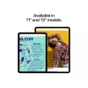 Apple iPad 11