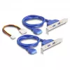 Adaptador interno USB 3.2 Gen 1 DeLOCK 61066 M.2 conector macho negro