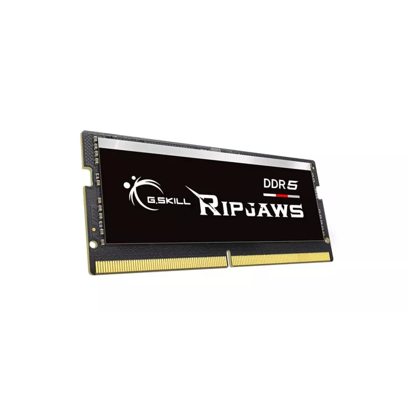 Módulo de memoria G.Skill Ripjaws F5-4800S4039A16GX1-RS 16 GB 1 x 16 GB DDR5 4800 MHz