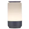 Lámpara de decoración LED Activejet AJE-CAMILLA RGB