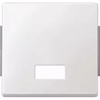 Tecla MERTEN con ventana símbolo rectangular 343819 AQUADESIGN blanco polar 343819 343819 (343819)