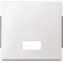 Tecla MERTEN con ventana símbolo rectangular 343819 AQUADESIGN blanco polar 343819 343819 (343819)