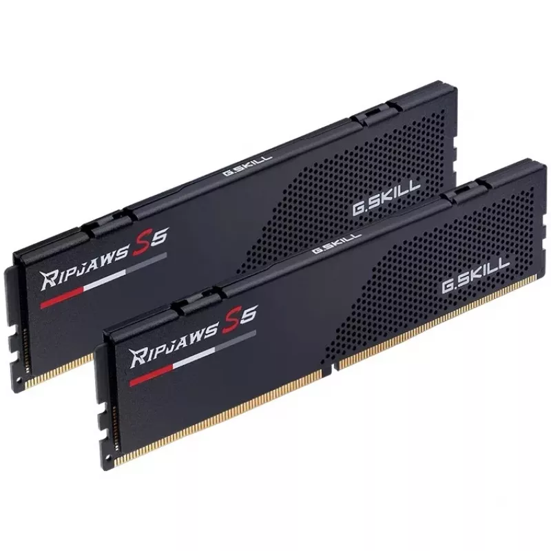 G.Skill F5-6000J3036F24GX2-RS5K 48 GB (2 x 24 GB) DDR5-6000 CL30 Kit de memoria
