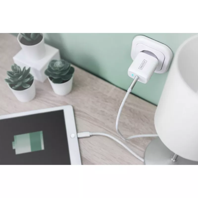 Digitus - fuente de alimentación - 20 vatios - 3 A - PD 3.0 (USB-C) - blanca (DA-10196)