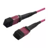 Latiguillo de fibra óptica MTP hembra OM4 LowLoss(ELite), 12 fibras, tipo B cruzado, heather violeta, 10 m, Synergy 21 (S216791)