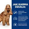 HILL's Prescription Diet Food Sensitivites z/d - pienso para perros - 10 kg