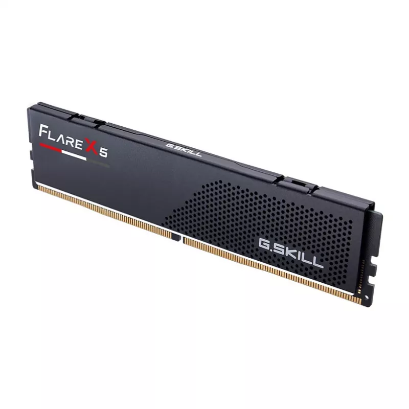 DIMM 16 GB DDR5-6000, memoria RAM negra, F5-6000J3038F16GH1-FX5, Flare X5
