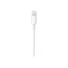 Cable Apple USB-C a Lightning (1 m)