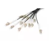 Cable breakout Digitus DK-2433CU030BK-BBB 30 m OM4 12 fibras LC/UPC