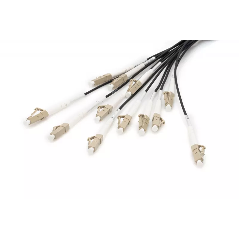 Cable breakout Digitus DK-2433CU030BK-BBB 30 m OM4 12 fibras LC/UPC