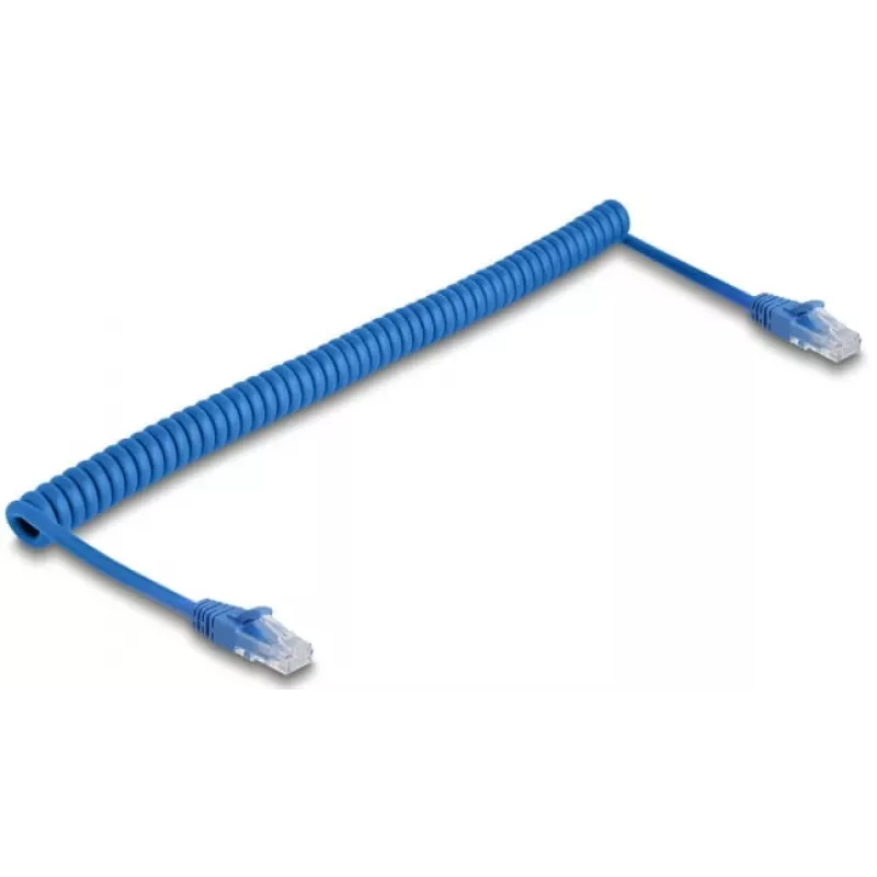 Cable de red DeLOCK 90197 azul 1,2 m Cat6 U/UTP