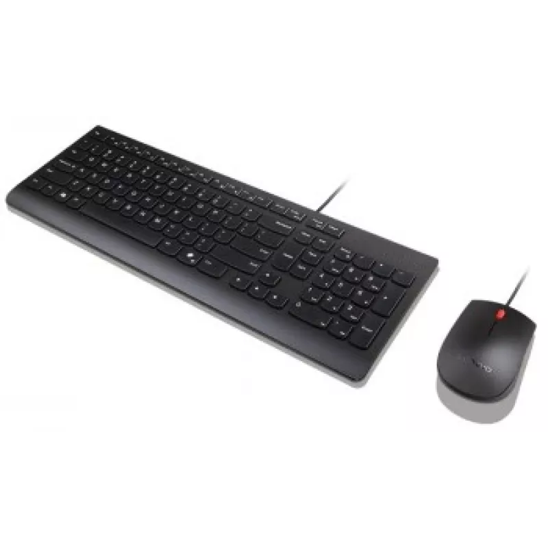 Lenovo Essential Conjunto de teclado y ratón con cable
