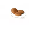 Royal Canin SHN Medium Adult pienso seco para perros, 15 kg