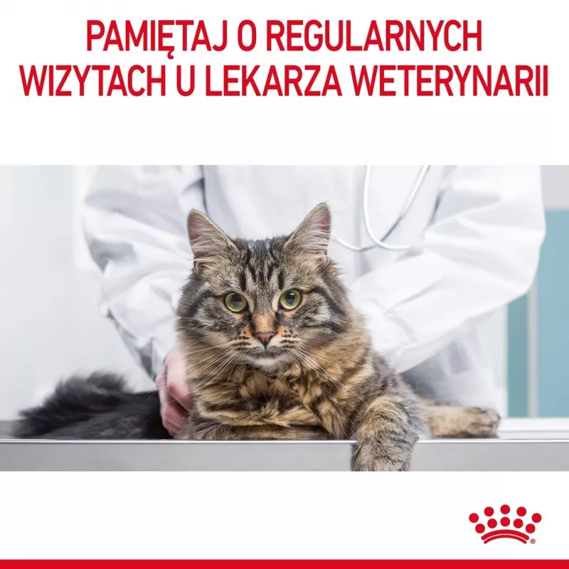 Royal Canin Hair & Skin Care Adult pienso para gatos, 2 kg