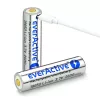 Batería everActive 18650 3.7V Li-ion 2600mAh micro USB con protección BOX