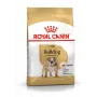 Royal Canin Bulldog Adult pienso seco para perros, 12 kg