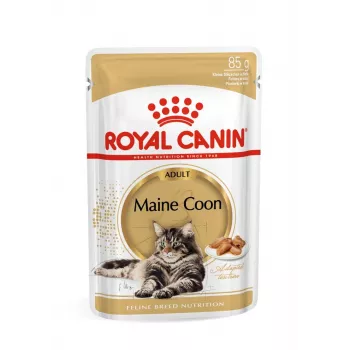 ROYAL CANIN FBN Maine Coon - Comida húmeda para gatos - Sachet 12x 85g