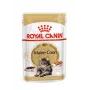 ROYAL CANIN FBN Maine Coon - Comida húmeda para gatos - Sachet 12x 85g