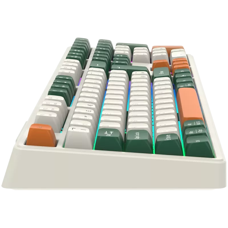 Teclado mecánico inalámbrico CANYON Shadder GKW-11 RGB Blanco