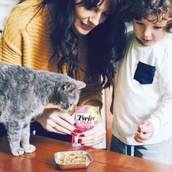 INABA CAT Twin atún con pollo en caldo – snack para gatos – 2x40 g