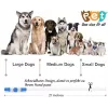 Collar LED KABB azul para perros y gatos – recargable, collar de seguridad ajustable con iluminación