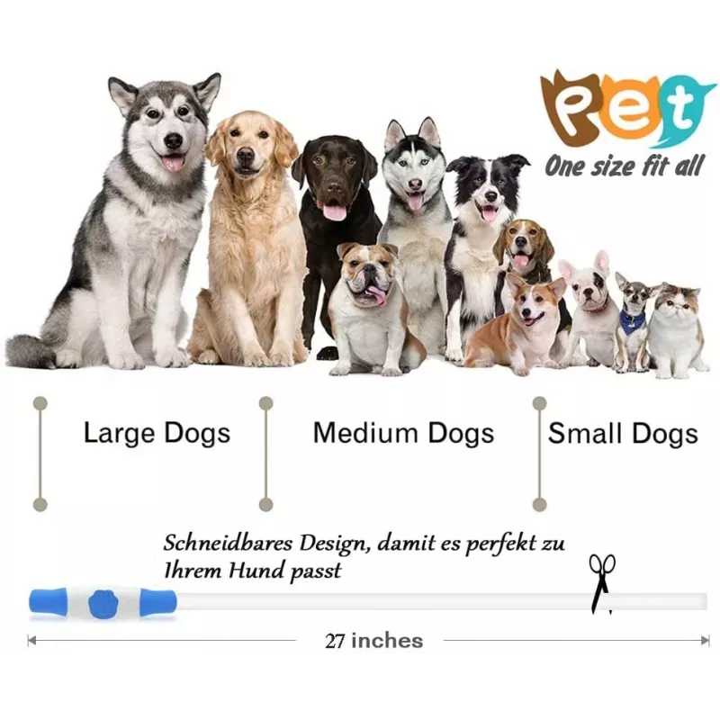 Collar LED KABB azul para perros y gatos – recargable, collar de seguridad ajustable con iluminación