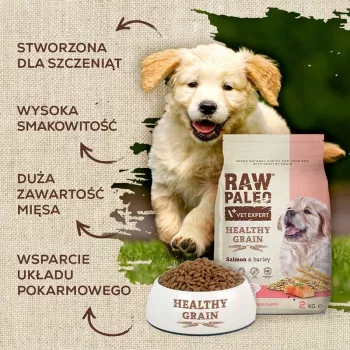 Pienso para perros VETEXPERT Raw Paleo Healthy Grain Puppy salmón y cebada 10 kg, proteína 29 % grasa 17 % humedad 9 %