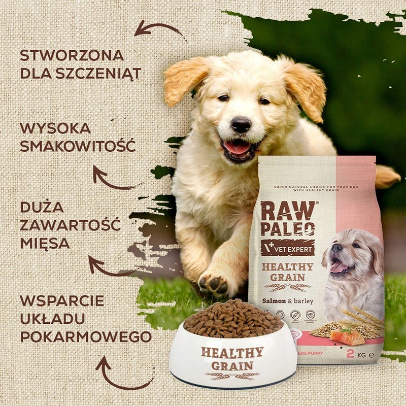 VETEXPERT Raw Paleo Healthy Grain Puppy Salmon & Barley pienso seco para cachorros, 10 kg