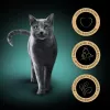 SHEBA Delicacy sabor a ave en gelatina - comida húmeda para gatos - 40x85 g