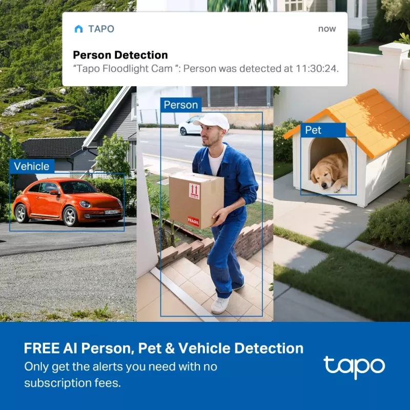 TP-Link TAPO C615F KIT Cámara de seguridad domo Cámara de seguridad IP exterior 2304 x 1296 píxeles Techo/Pared/Mástil