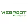 Webroot | DNS Protection with GSM Console | 2 año(s) | Cantidad de licencias 10-99 usuarios