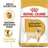 Royal Canin BHN Labrador Adult pienso para perros, 12 kg