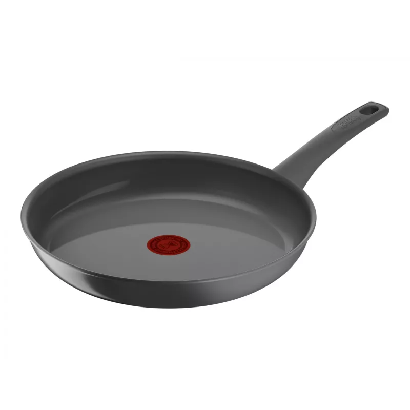 Sartén Tefal C4260643, 28 cm de diámetro, apta para inducción, mango fijo, gris