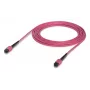 Cable de fibra óptica MPO Ubiquiti UACC-OFC-MA-MPMP-5M 5 m OM4
