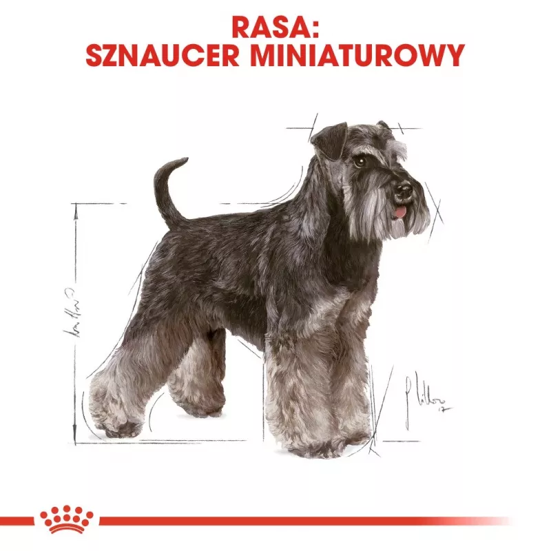 Pienso seco para perros Royal Canin Miniature Schnauzer Adult, aves, 3 kg, para razas pequenas