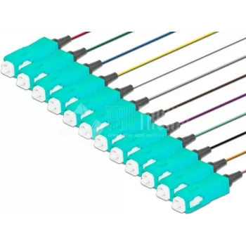 Lightwin PIG 50 SC-12 2.0 OM3 cable de fibra óptica 2 m multicolor (PIG 50 SC-12 2.0 OM3)